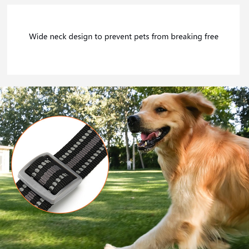 Nylon Reflective Collar and Leash Set for Medium and Large Dogs Walking Leash with Matching Leash Can Adjusted Dog Accessories