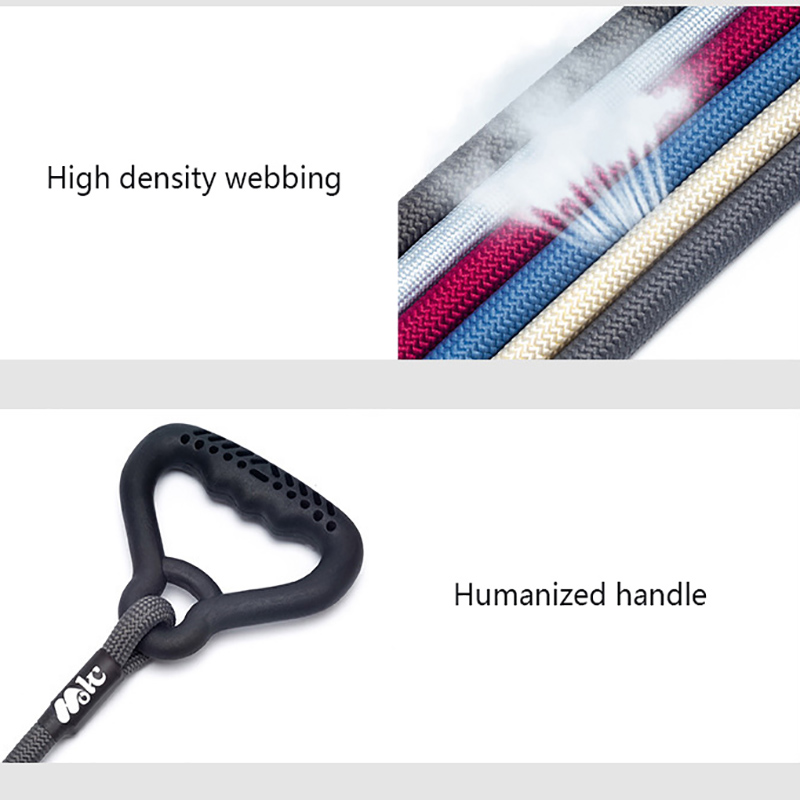 Nylon Medium and Large Dog Leash P Chain Rubber Handle Traction Belt Explosion-proof Punch Walking Dog Leash Pet Accessories