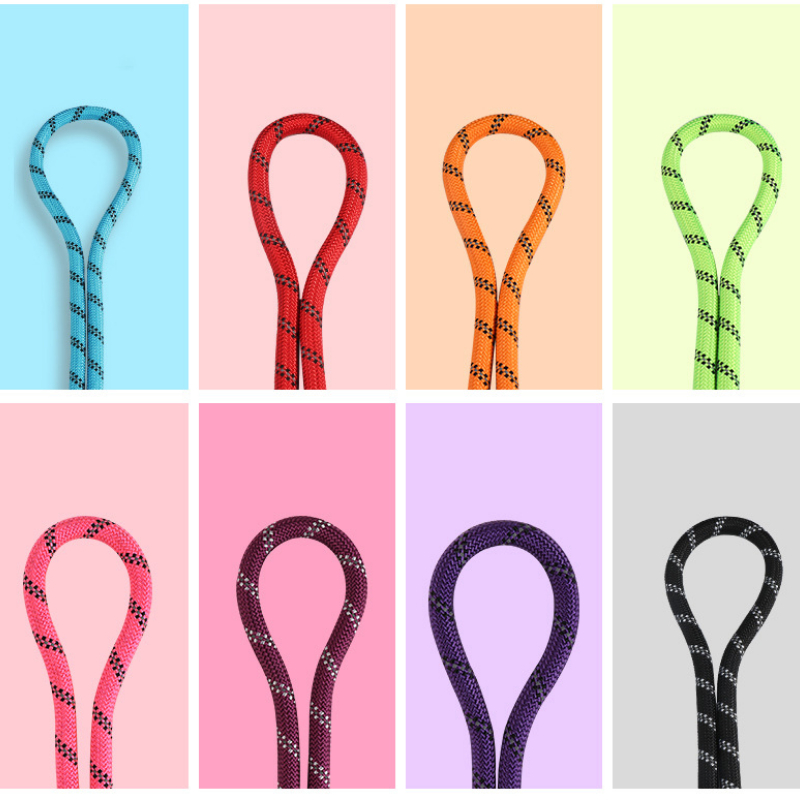 P Chain Integrated Dog Leash, Reflective Slip Training Lead for Medium &Large Dogs for Safe Night Walks Dog Leash Pet Slip Leash