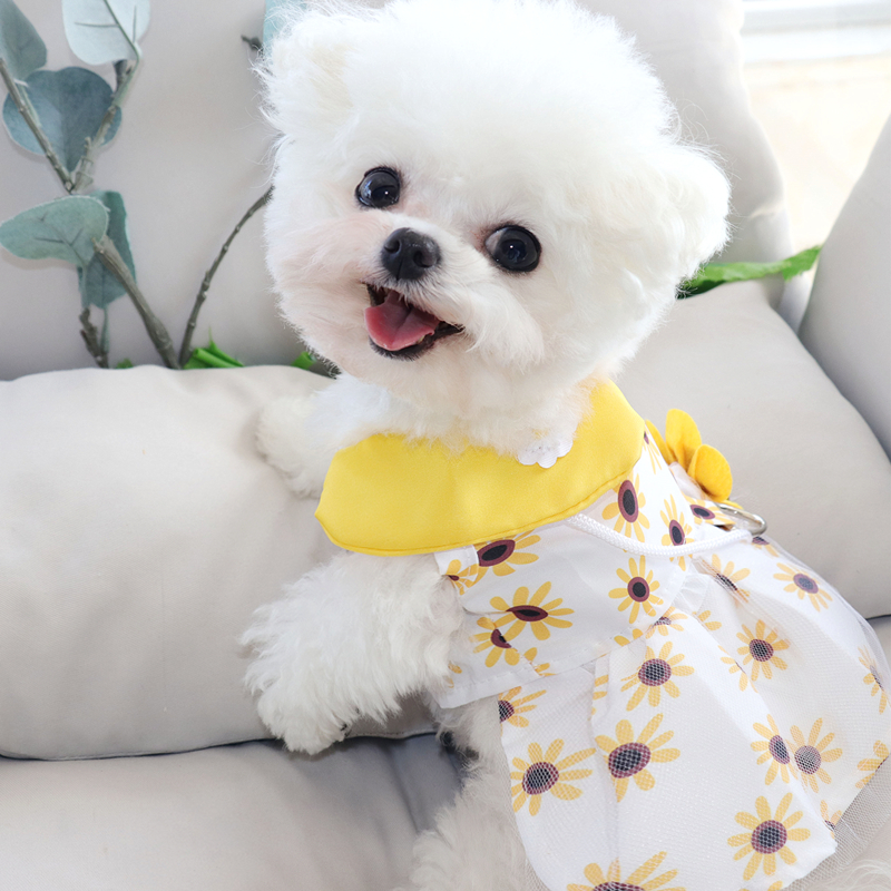Dog Summer Dress Cute Lace Cat Skirt Pet Clothing Chihuahua Bichon Poodle Sunflower Dresses Kitten Puppy Shirt Girls Dog Clothes