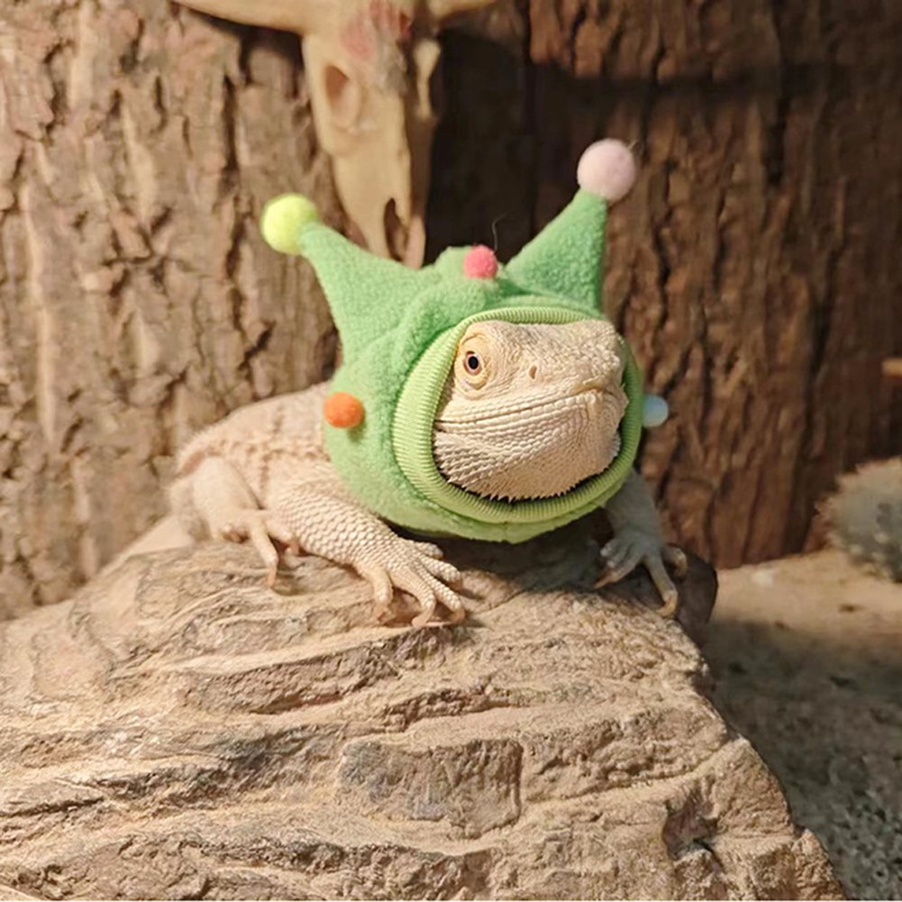 Lizards Halloween Hat, Bearded Dragon Fleece Horned Hat Lizard Hat Scarf Costume, Reptiles Hoodies Clothes For Geckos