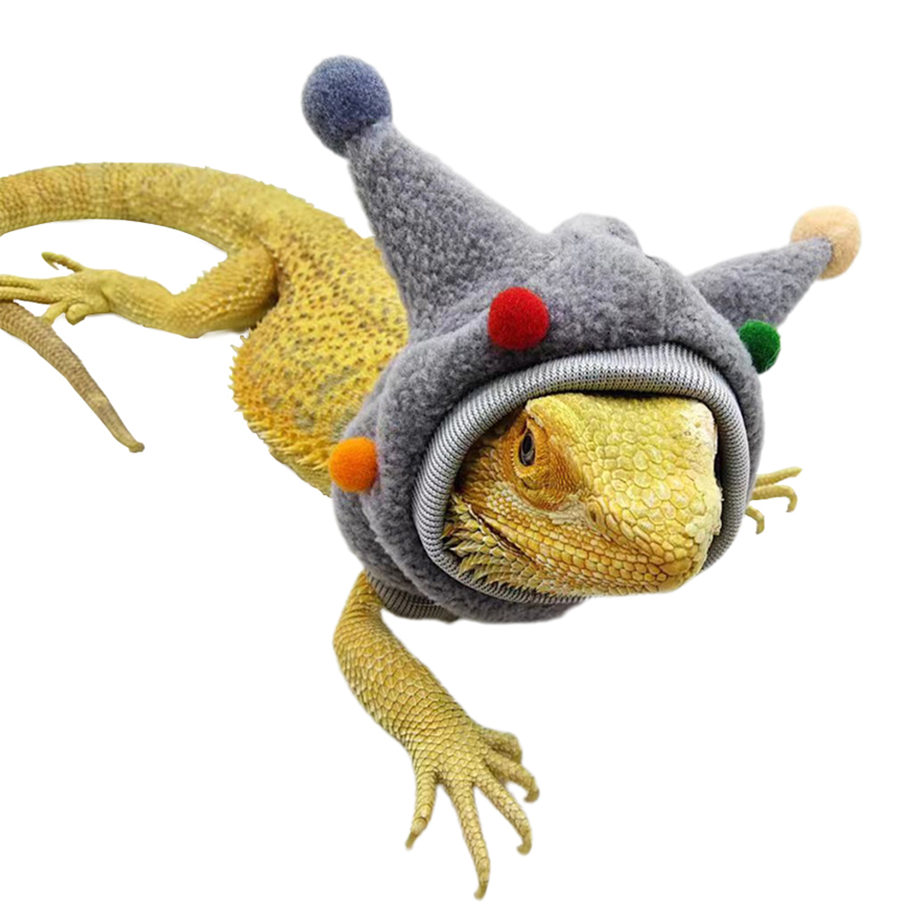 Lizards Halloween Hat, Bearded Dragon Fleece Horned Hat Lizard Hat Scarf Costume, Reptiles Hoodies Clothes For Geckos