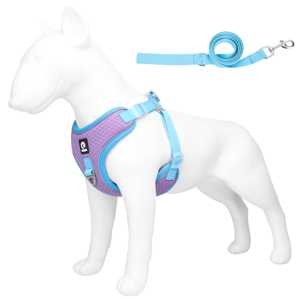 Dog Harness and Leash Set for Small Medium Large Dogs,Reflective Dog Vest Harness with Personalized Engraving ID Tag Pet Harness