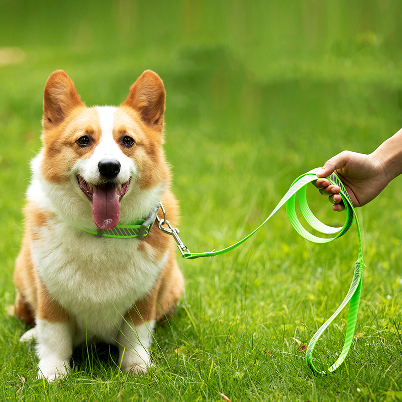 Nylon Reflective Pet Leash and Collars Set Multicolor Dog Leash Adjustable Dog Collar for Medium and Large Dogs Outdoor Training