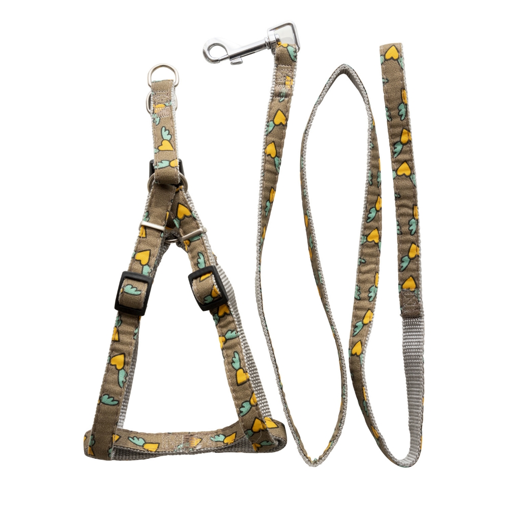 Pet Leash and Harness Set To Prevent Breakaway Cat Leash Comfortable Not Strangulation Adjustable for Cats and Puppies Supplies