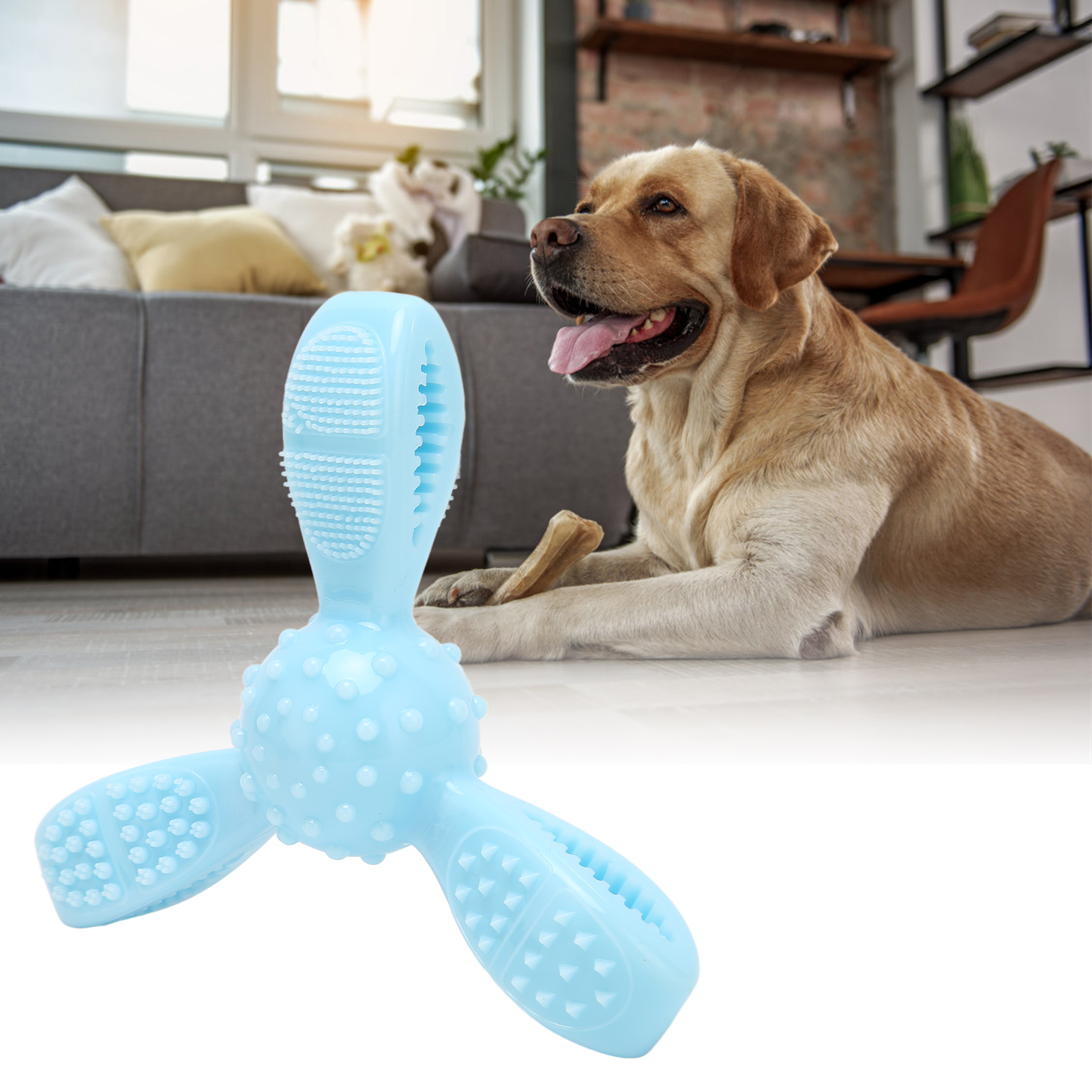 Washable Dog Chew Toy, Multifunctional, Bite Resistant, TPR, Pet, Teeth Cleaning, Gum Massage