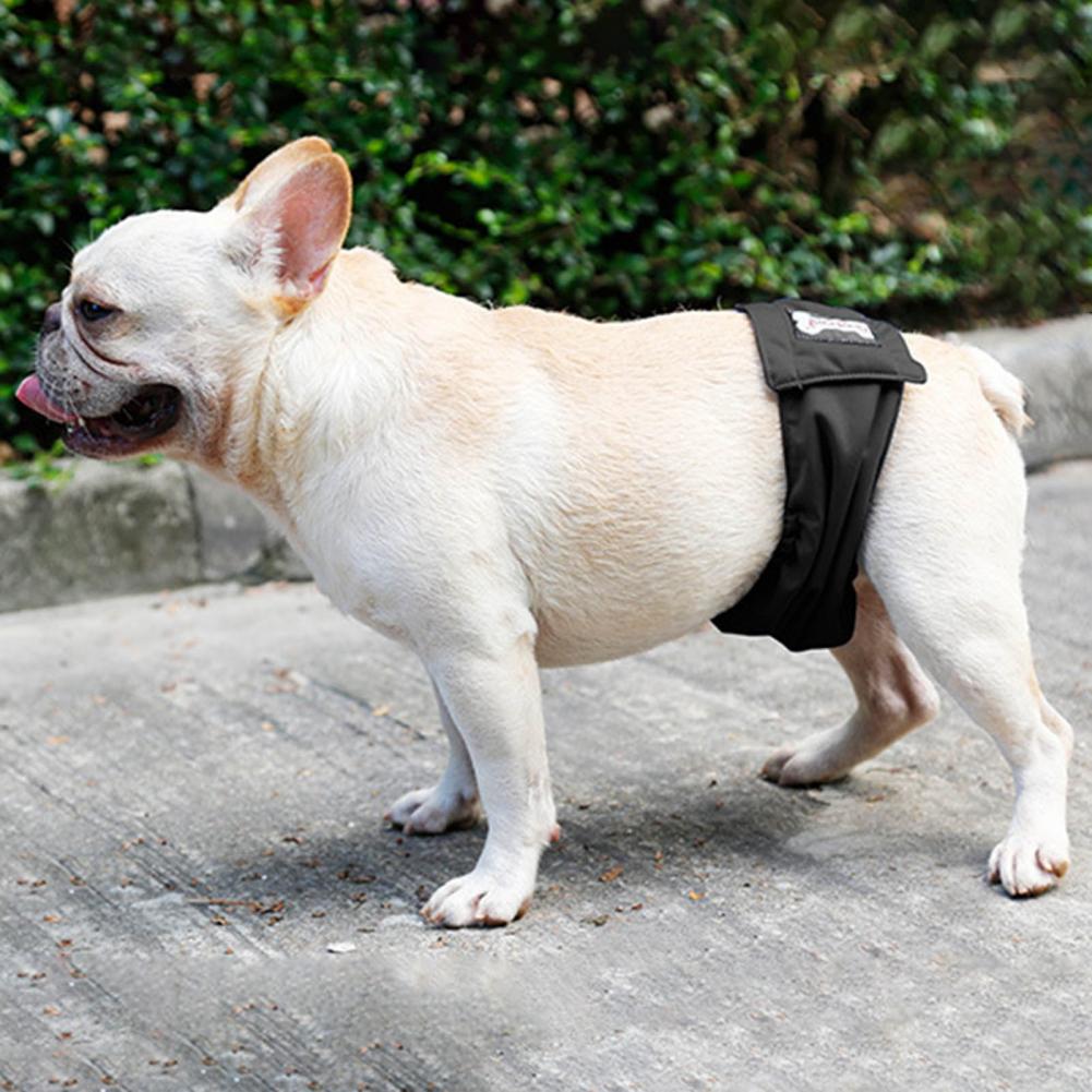 Durable Reusable Male Pet Dog Diaper Pants Simple Menstrual Diaper Pet Supplies XS-XXL Physiological Pants Hygienic Waterp