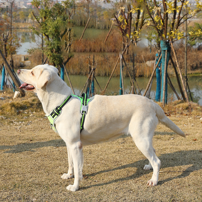 Dog Harness & Leash Set,No Pull Reflective Adjustable Pet Harness,Dog Vest Harness with Easy Control Handle for Medium Large Dog