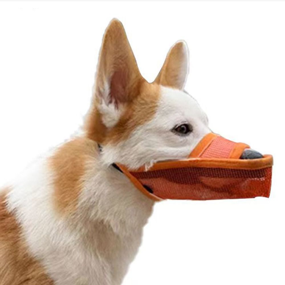 Durable Anti Barking Dog Muzzle Adjustable Breathable Dog Protection Muzzle Drinkable Mask for Dogs For Small Large Dogs