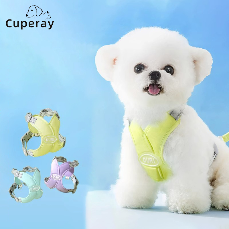 Dog Harness & Leash Set Reflective Adjustable Vest Harness Medium Small Dog Teddy Corgi Bichon Walking Leash for Outdoor Travel