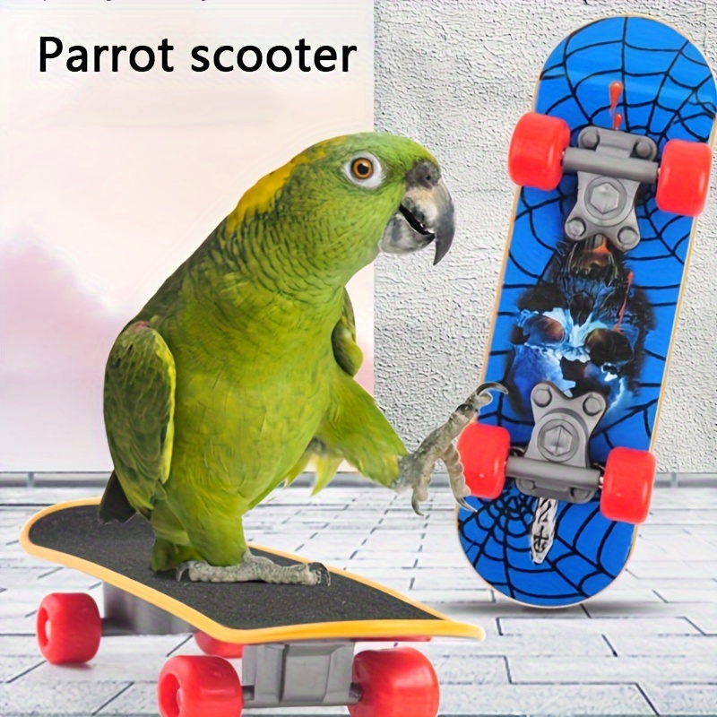 1pc/2pcs Bird Toys, Parrot Skateboard Toy, Training Props, BirdEducational Toys, Special Supplies For Cockatiel Peony