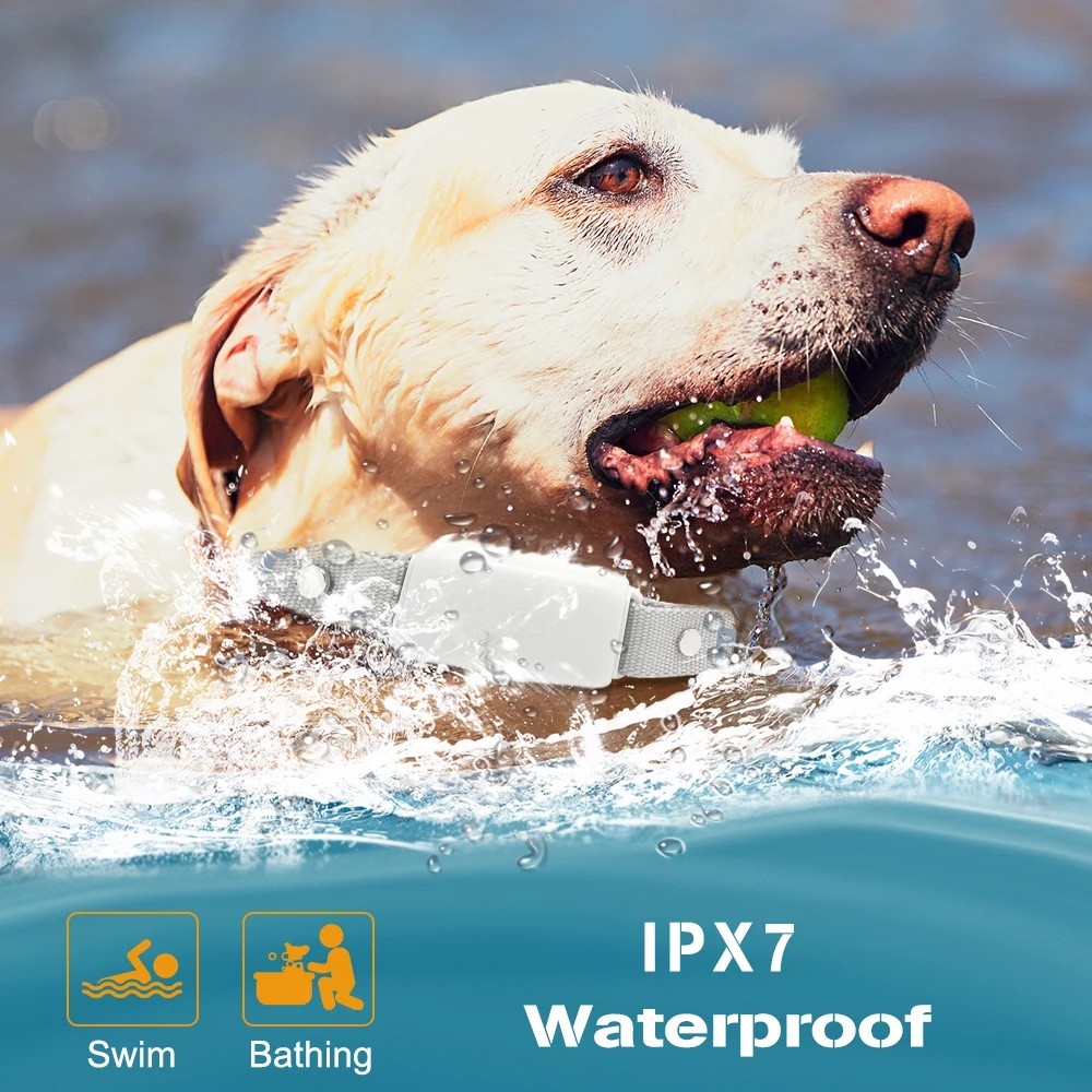 1000ft Remote Electric Dog Training Collar IPX7 Waterproof Swimming Rechargeable Beep Vibration Shock Training Collar