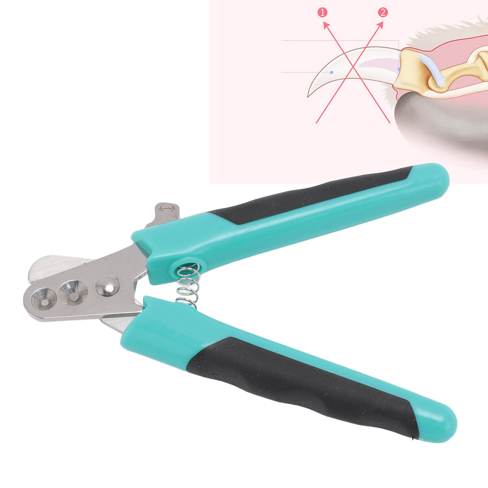 Pet Nail Clippers with Double Round Holes, Stainless Steel Blades, Ergonomic Pet Claw Trimmer for Cats and Dogs, Kittens