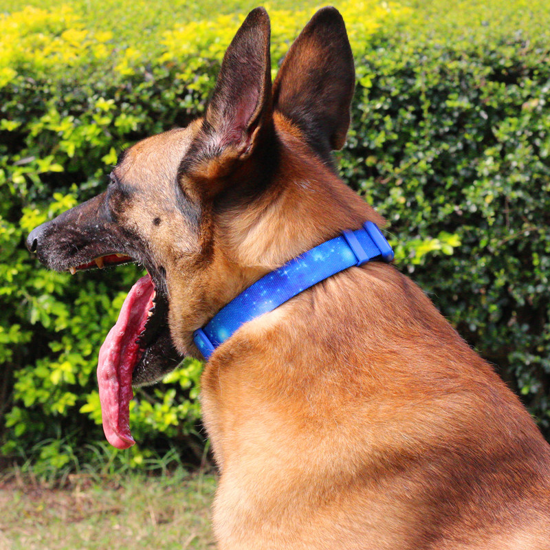 Nylon Print Pet Collar Small and Medium Dog Adjustable Dog Collar ABS Eco-Friendly Buckle and D Ring for Cat and Dog Accessories