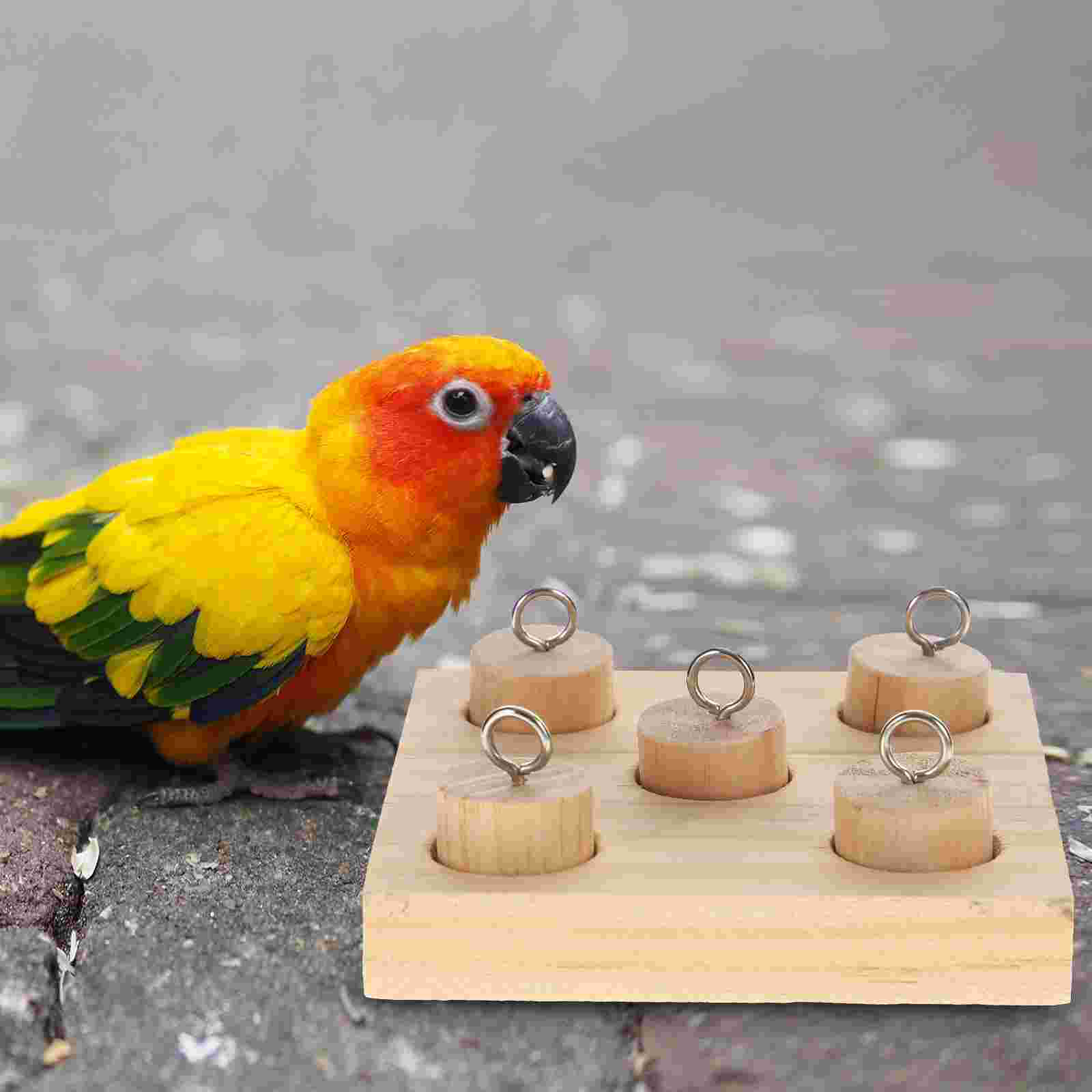 Parrot Training Toys Small Bird Wooden Conure Cage Wear-resistant Parakeet Interactive Cockatiel