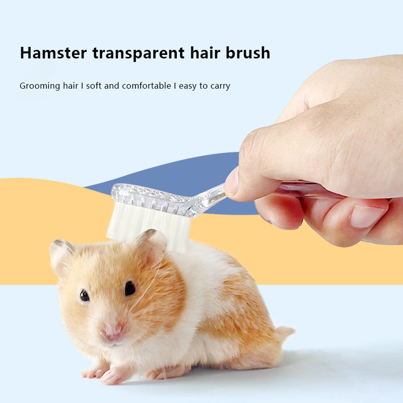 Pet Grooming Brush Guinea Pig Cleaning Tools Hedgehog Massage Bathing Combs Small Animals Cleaning And Beauty Tool Accessories