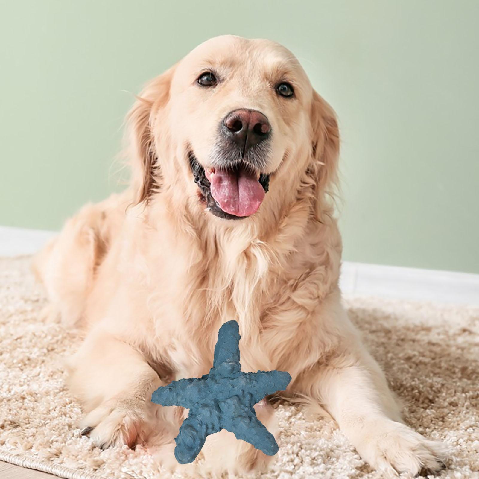 Dog Teething Doll Rubber Cute Starfish Style Soft Bright Colors Gum Massage Dog Chew Toy For Puppy Small Pet