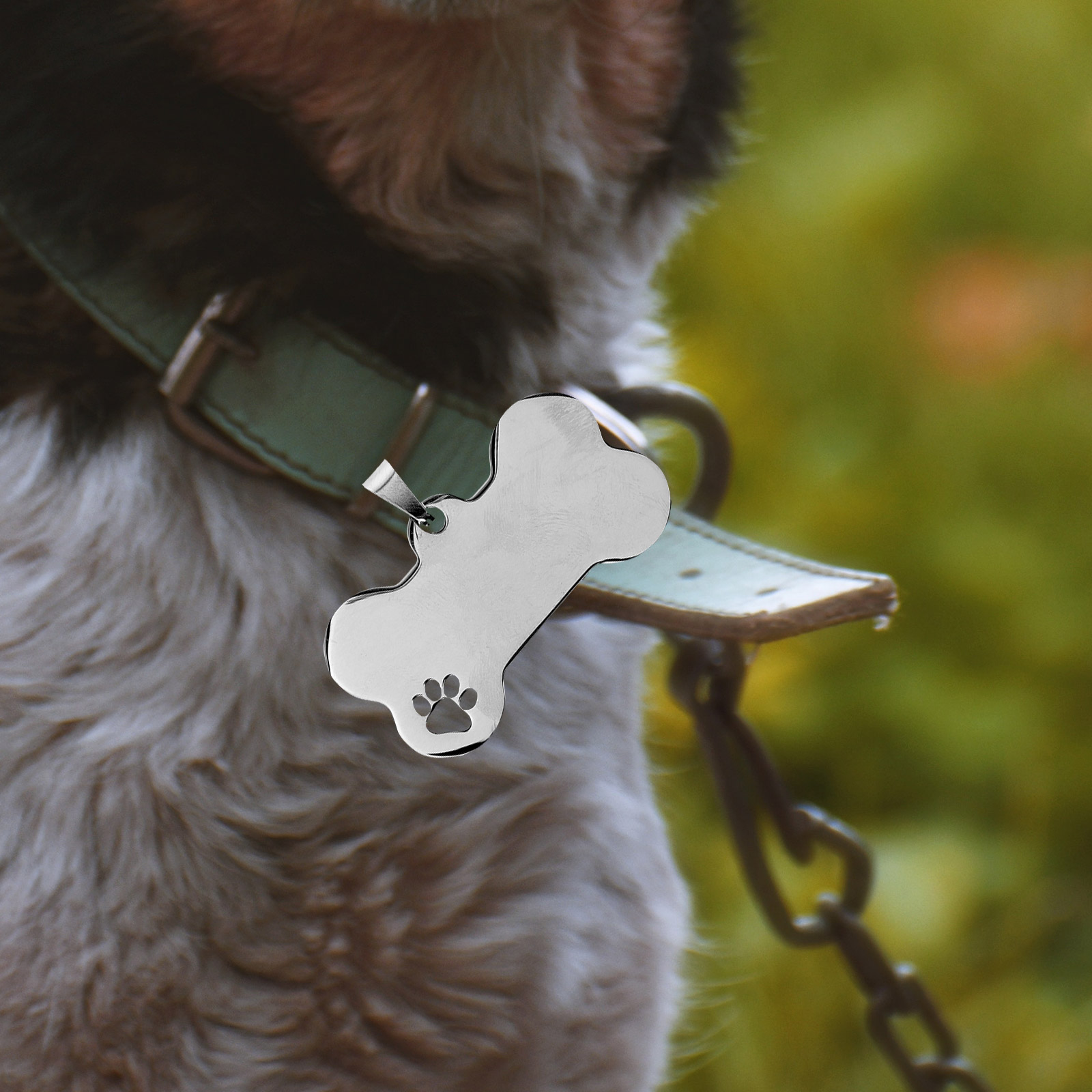 10 Pcs Dog Tag Label Engraved for Pets Name Tags Personalized Id Small