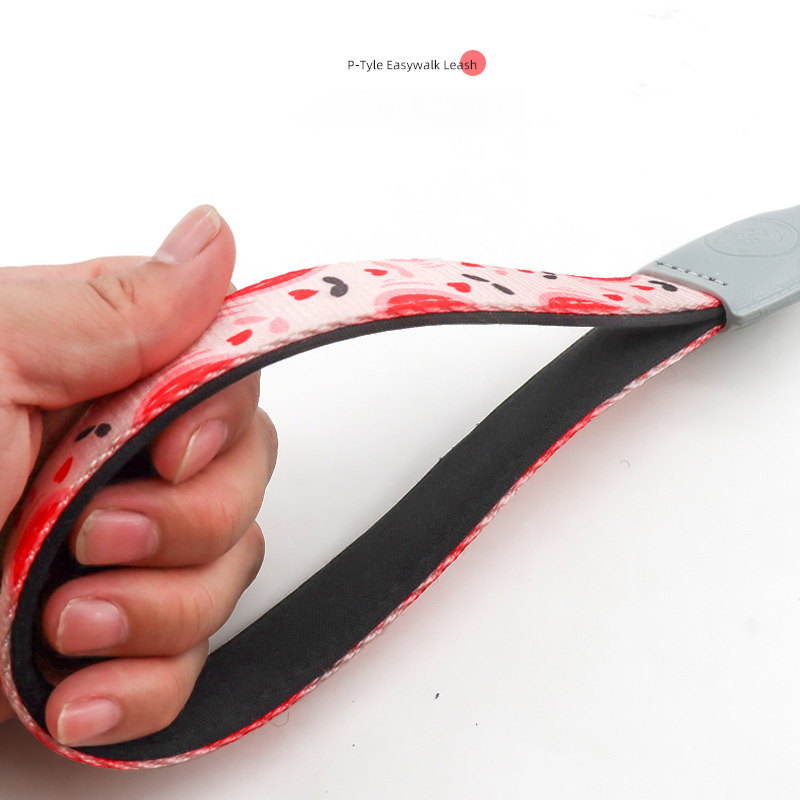 Heavy Duty Slip Lead Dog Leash,Dog Training Leash with Metal Stopper,Durable No Pulling Dog Lead Leashes with Comfortable Handle