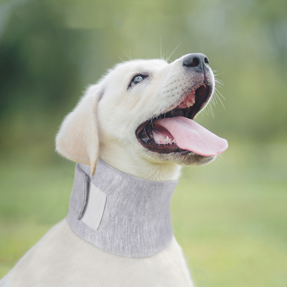 Dog Neck Brace Supports Pet Necks With Cervical Vertebral Sprains Instability Intervertebral Disk Disease Pet Cervical Collar