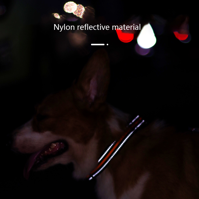 Reflective Nylon Dog Collar Adjustable Pet Collar for Medium and Large Dogs with Double D Ring & Foam Lining Collar Pet Supplies