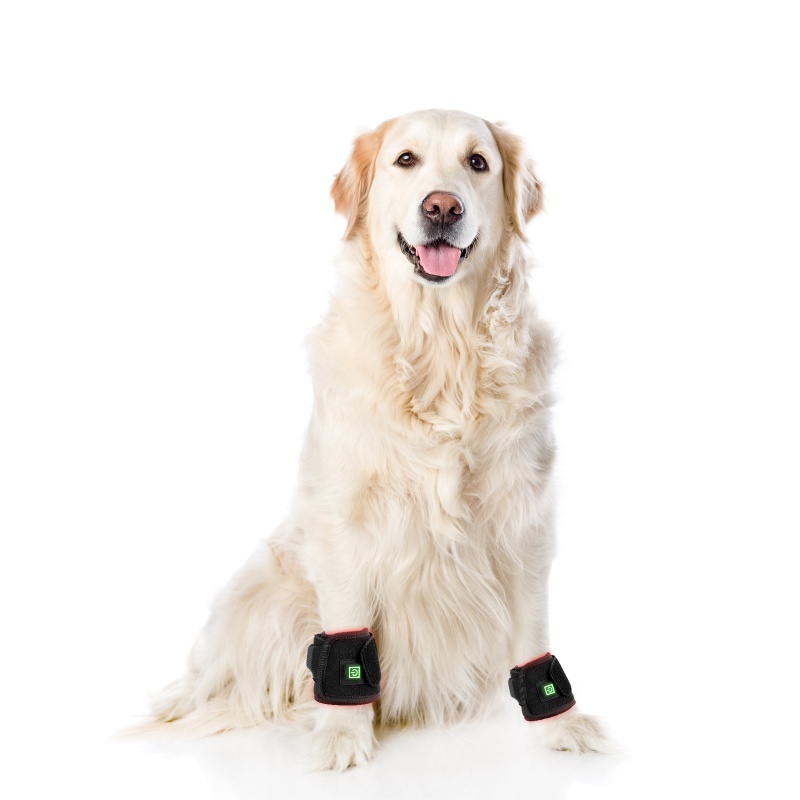 1pc unique 660nm 850nm equine red infrared light therapy horse hoof wraps red light therapy pads for horses