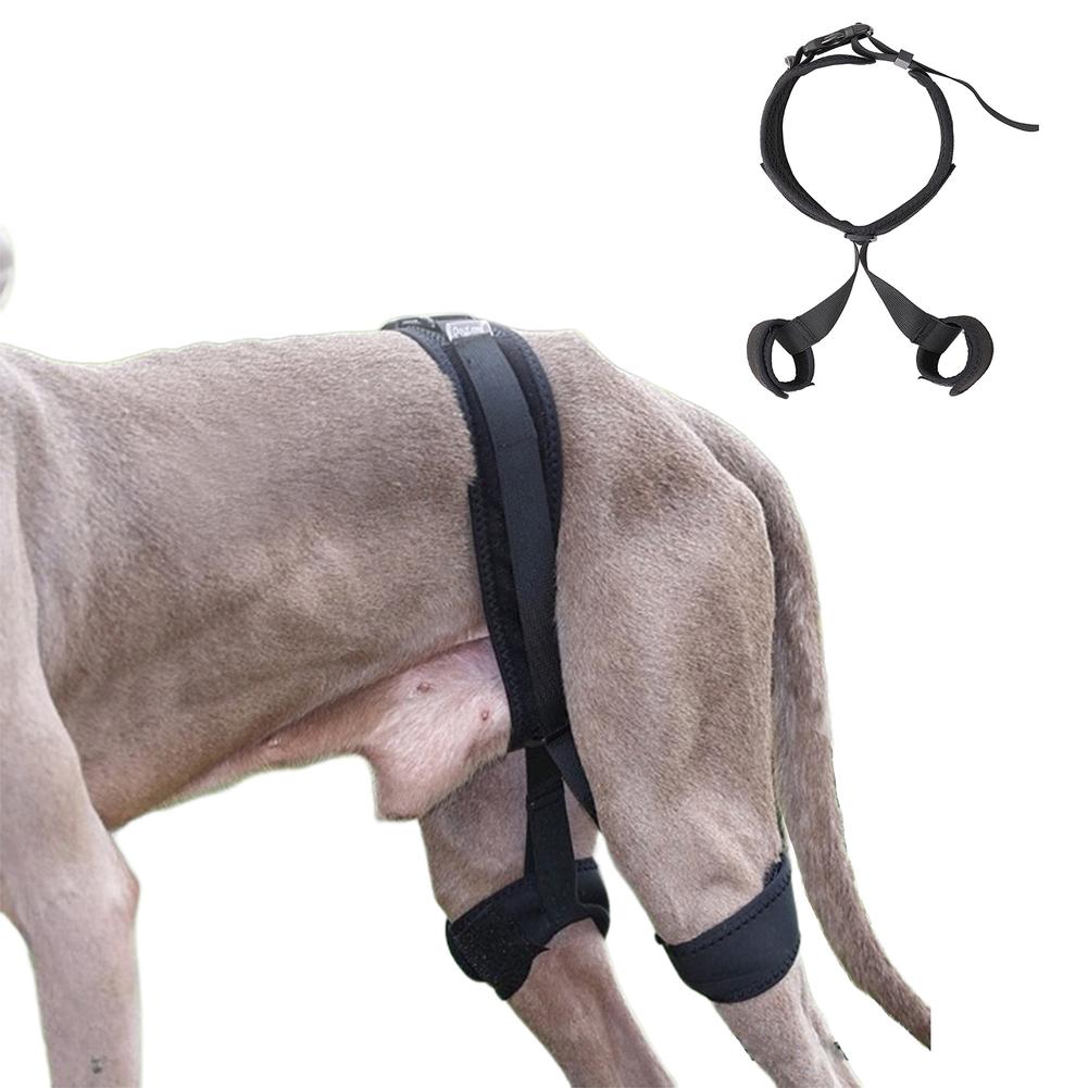 Pet Dog Leg Brace Comfortable Breathable Leg Joint Compression Wrap Adjustable Rear Leg Braces For Dogs, Pet Knee Brace