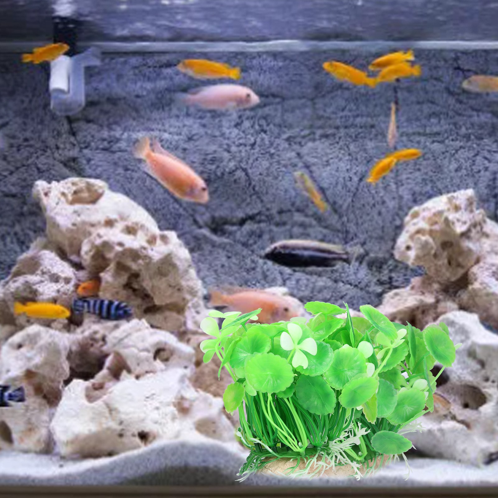 Simulation Plastic Water Plants, Safe, Odorless Coin Grass, Fish Tank Turtle Tank Aquarium