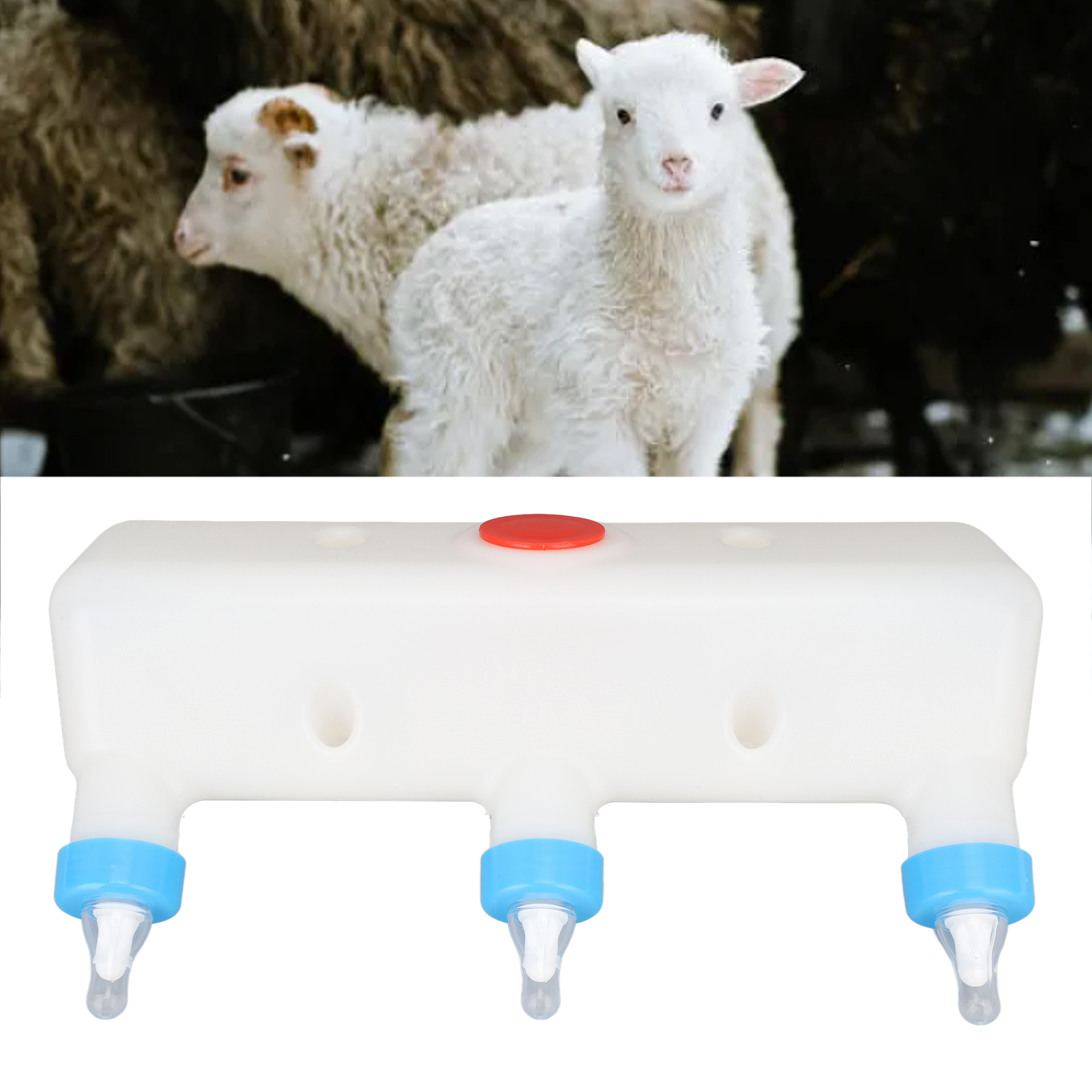 Small Animal Milk Feeder, Piglet, Puppy, Baby Lamp, Goat Milk Feeder, Farm Drinking Equipment, 3 Pacifier