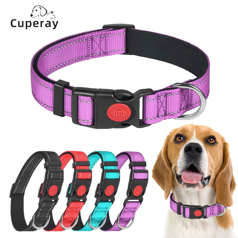 Reflective Nylon Dog Collar and Leash Set-Soft Neoprene Padded, Adjustable Dog Collars with Safety Buckle for Small Medium Dogs