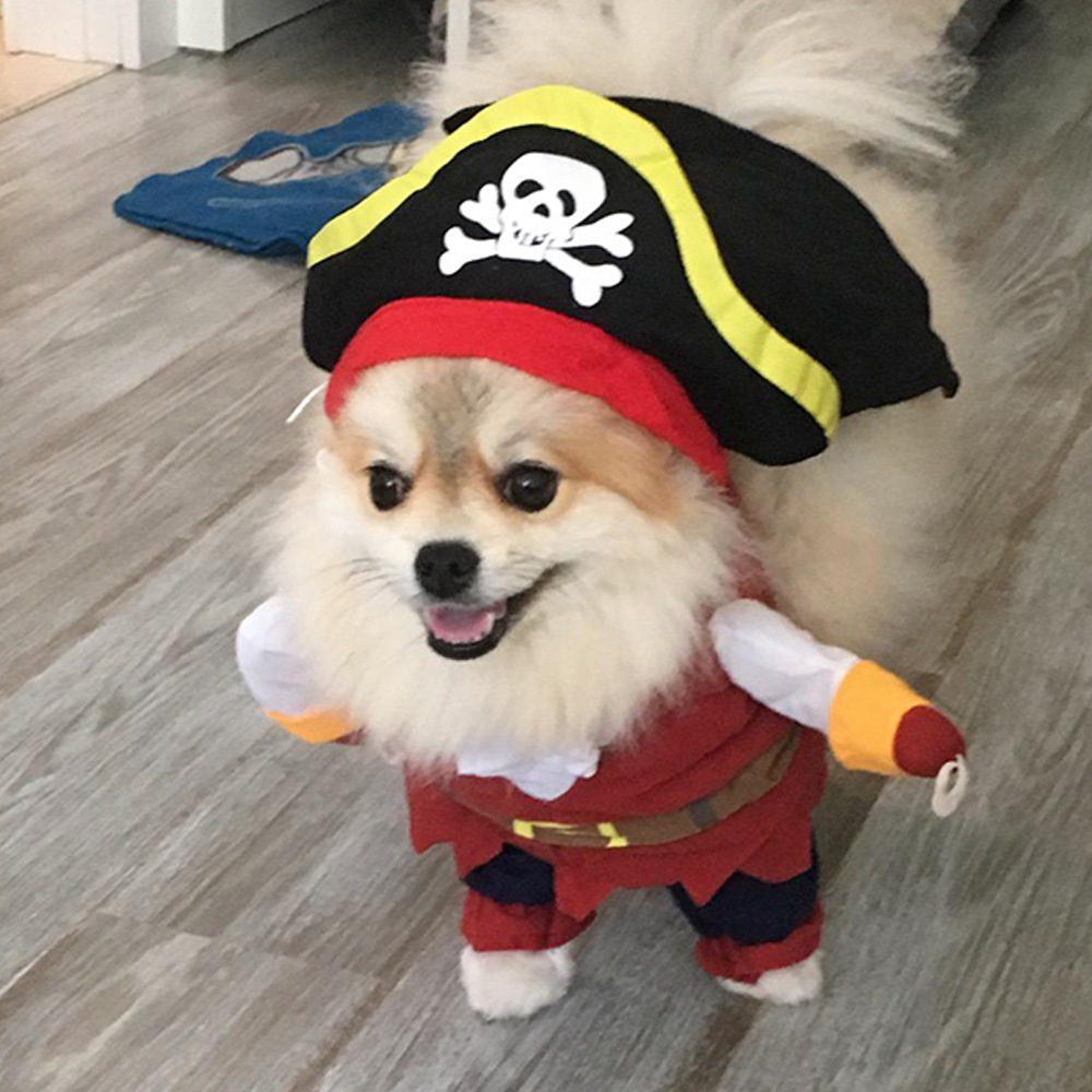 Dog Cat Funny Cosplay Clothes For Small Medium Dogs Cats Creative Novelty Halloween Pirate Costume French Bulldog Jacket Coat