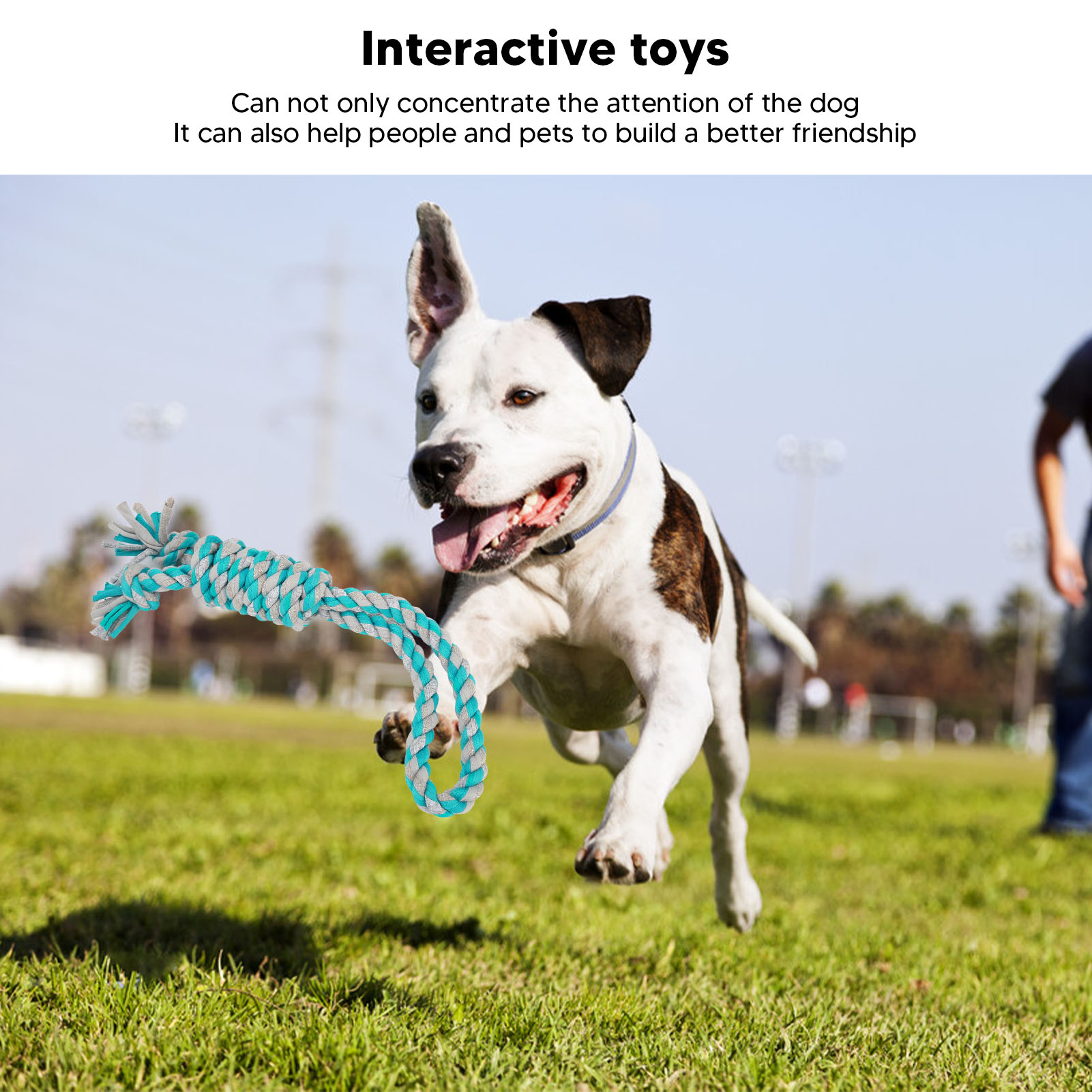 Dog Rope Chew Toys Interactive Fun Cotton Teeth Cleaning Bite Resistant Dog Teething Chew Toy For Indoor Outdoor