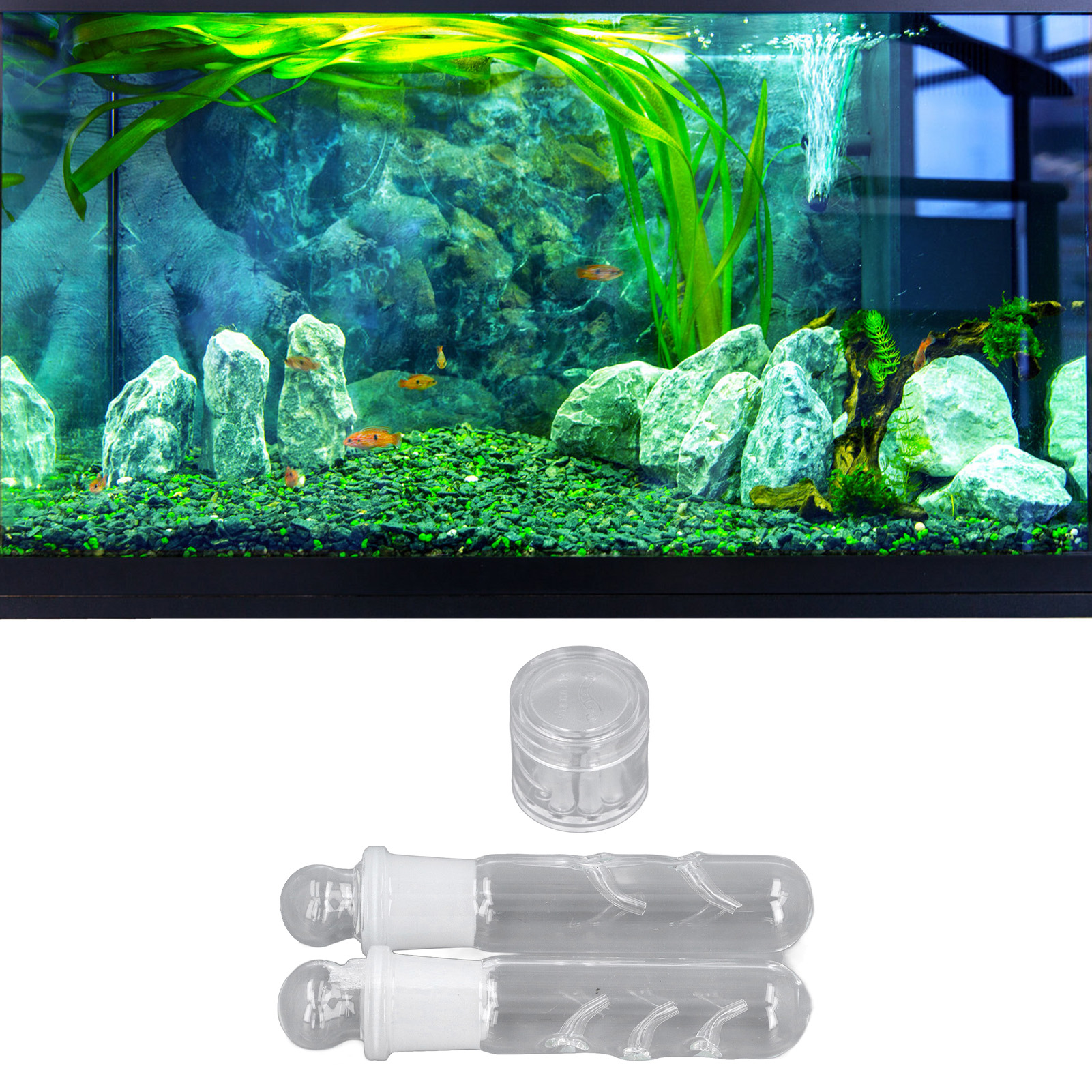 Planaria Trap Transparent Glass Easy To Use 2 Hole 3 Hole 8 Hole Planaria Catcher For Fish Tank Shrimp Tank