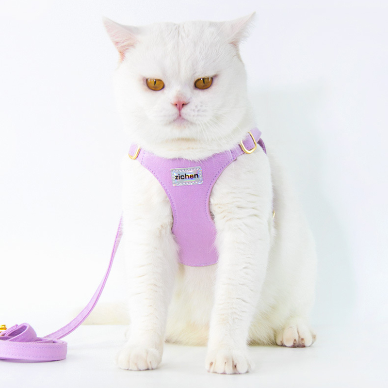 Dog Harness and Leash Set Vest Style Dog Leash Adjustable Small Dog Harness Teddy Cute Pet Supplies for Cats & Puppies Supplies