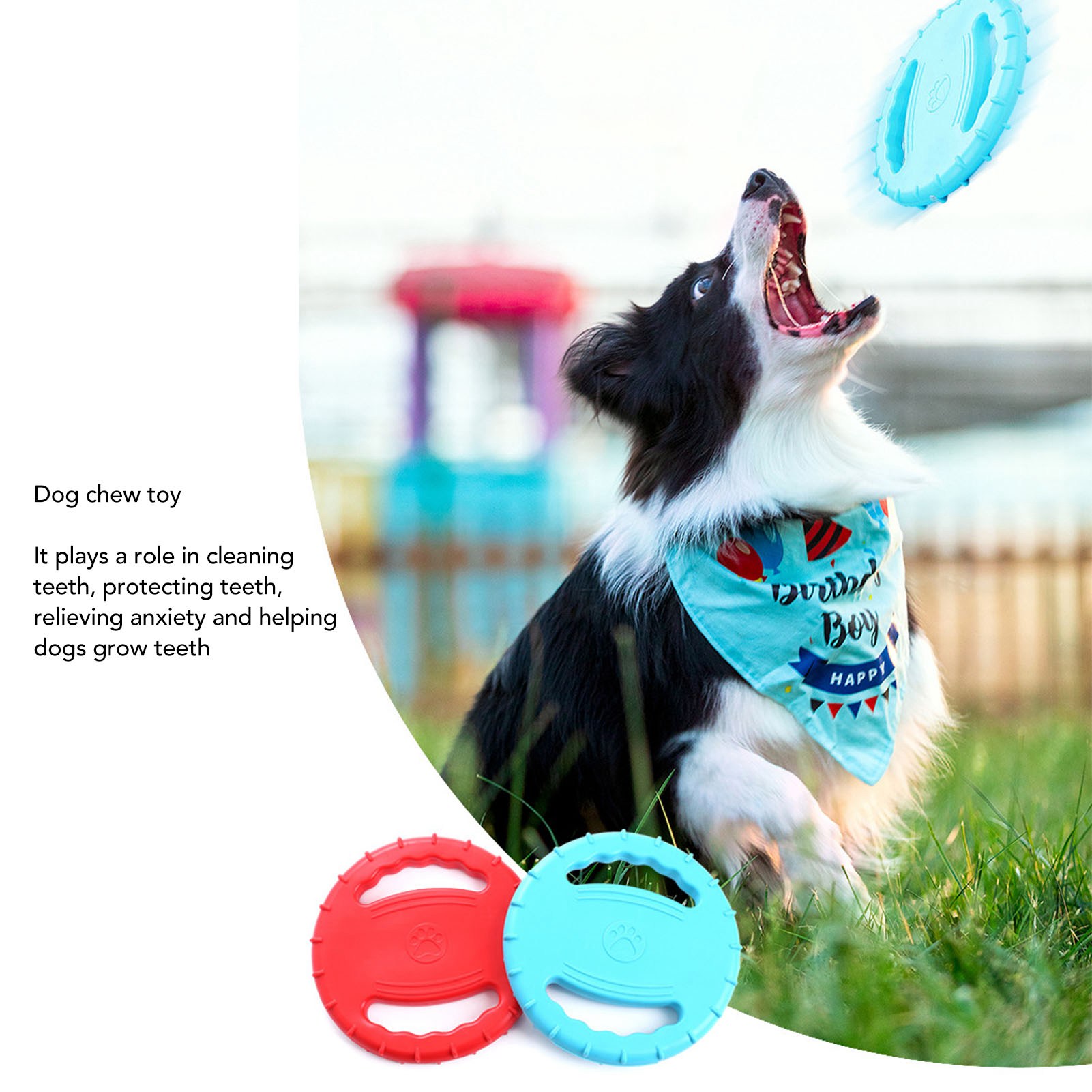 Dog Flying Disc Toy Flexible TPR Squeaky Stress Relief 2 Sides Hollow Design Pet Training Flying Disc For Large Dogs