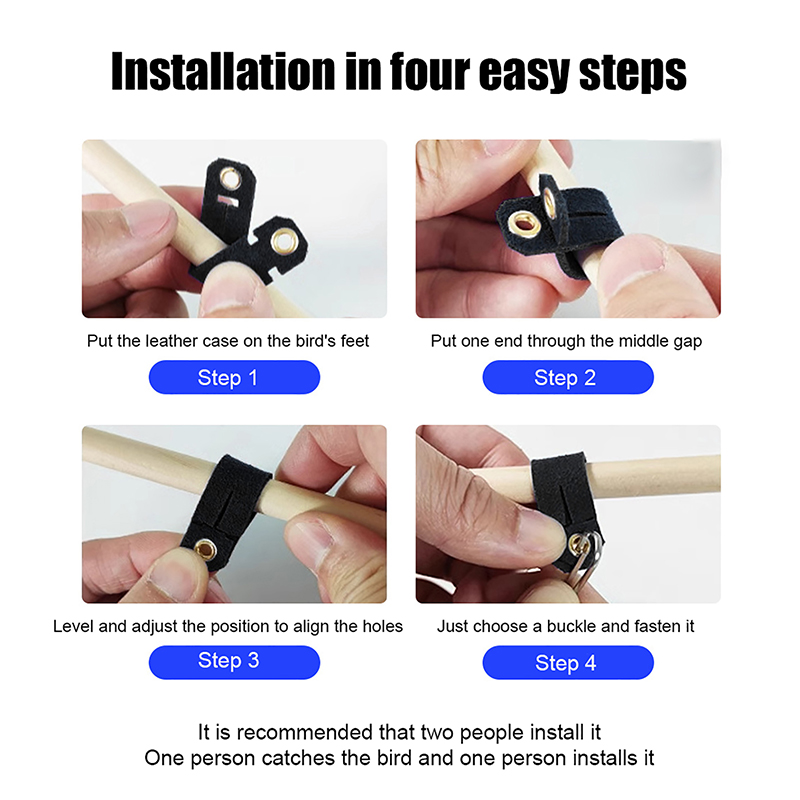 Pet Parrot Leg Ring Ankle Foot Chain Bird Ring Parrot Foot Clasp Foot Sleeve Bird Foot Live Buckle Rings Bird Accessories