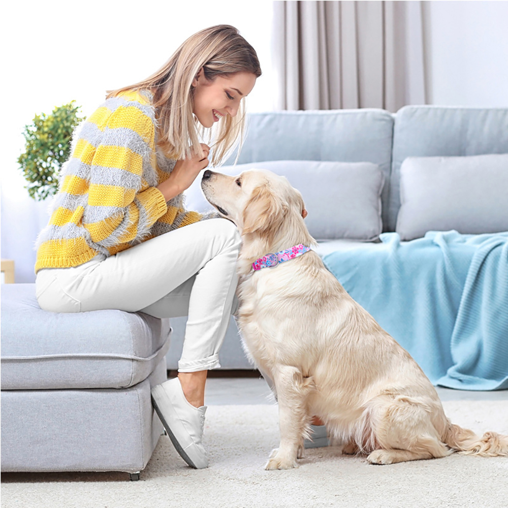 Dog Collar Soft Durable Fashionable Adjustable Print Fine Pattern,Soft & Comfy Dog Collar for Small Medium Large Boys Girls Pets