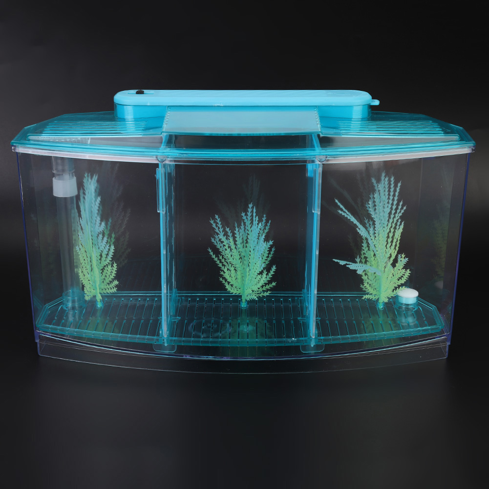 Acrylic Three Divisions Breeding Isolation Box for Small Fish Tank, Aquarium Fish Tank