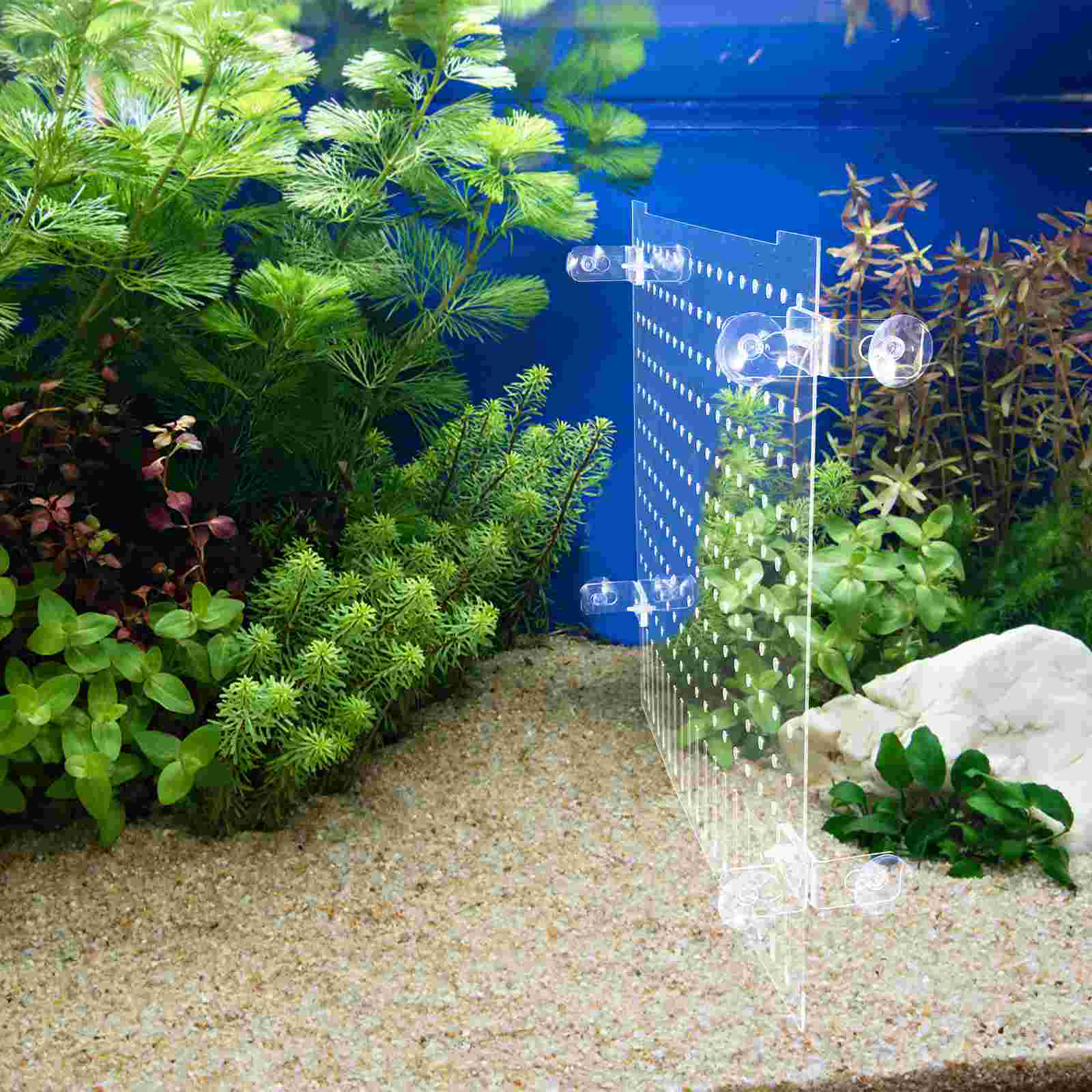 Fish Tank Isolation Board Water Case Suction Cup Aquarium Divider Baffle Acrylic