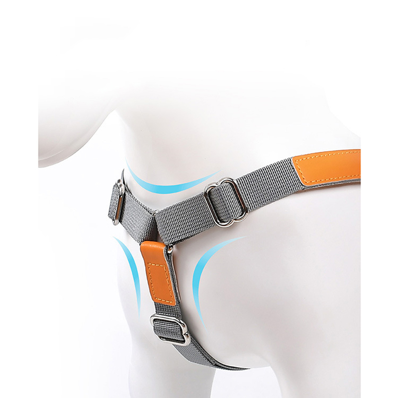 Pet Harness and Leash Nylon Leather Dog Harness Durable and Adjustable for Large,Medium Small Dogs Outdoor Training and Walking