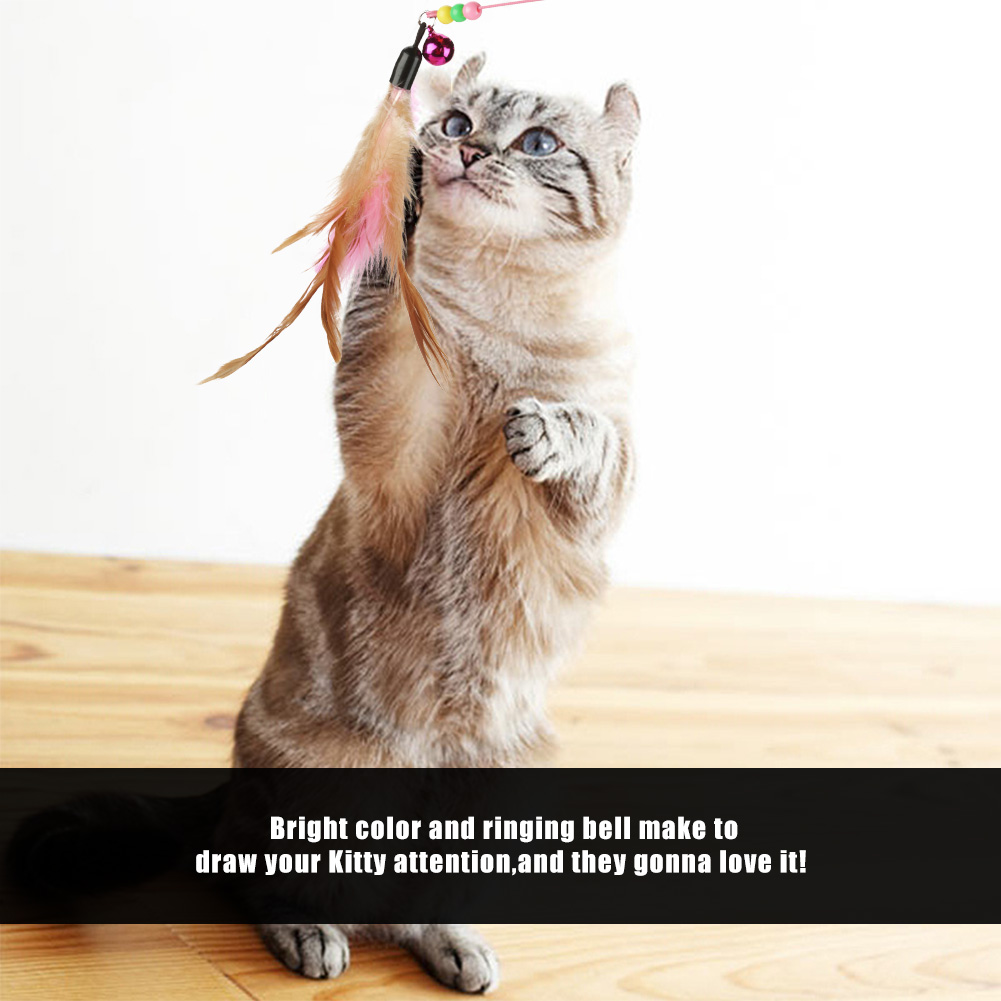Feather Wire Chaser for Cat and Kitten, Funny Pet Play Toy, Wand Beads