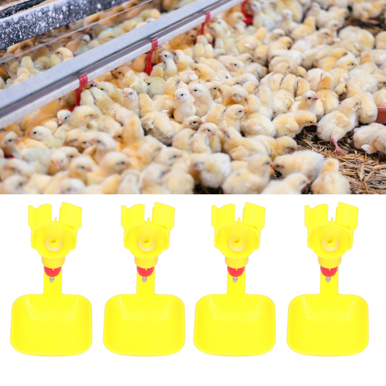 Chicken Nipple Drinker with Cup, Integrated Automatic Drinking Bowl, Poultry Accessory, 20ml, 10Pcs