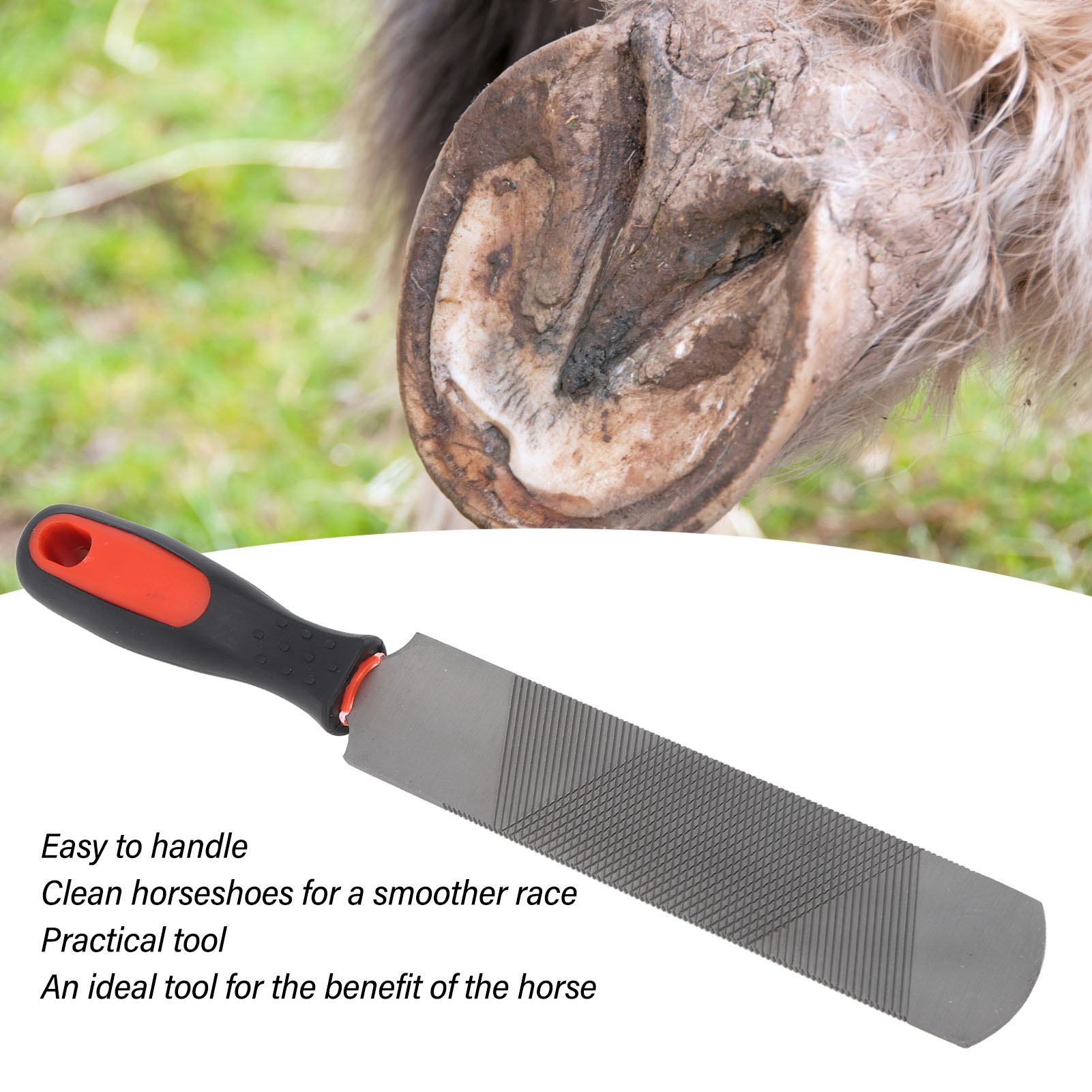 Horseshoe File with Flexible Handle for Horse, Hoof Rasp, Carbon Steel, Ergonomic Trimming Tool, 8 in