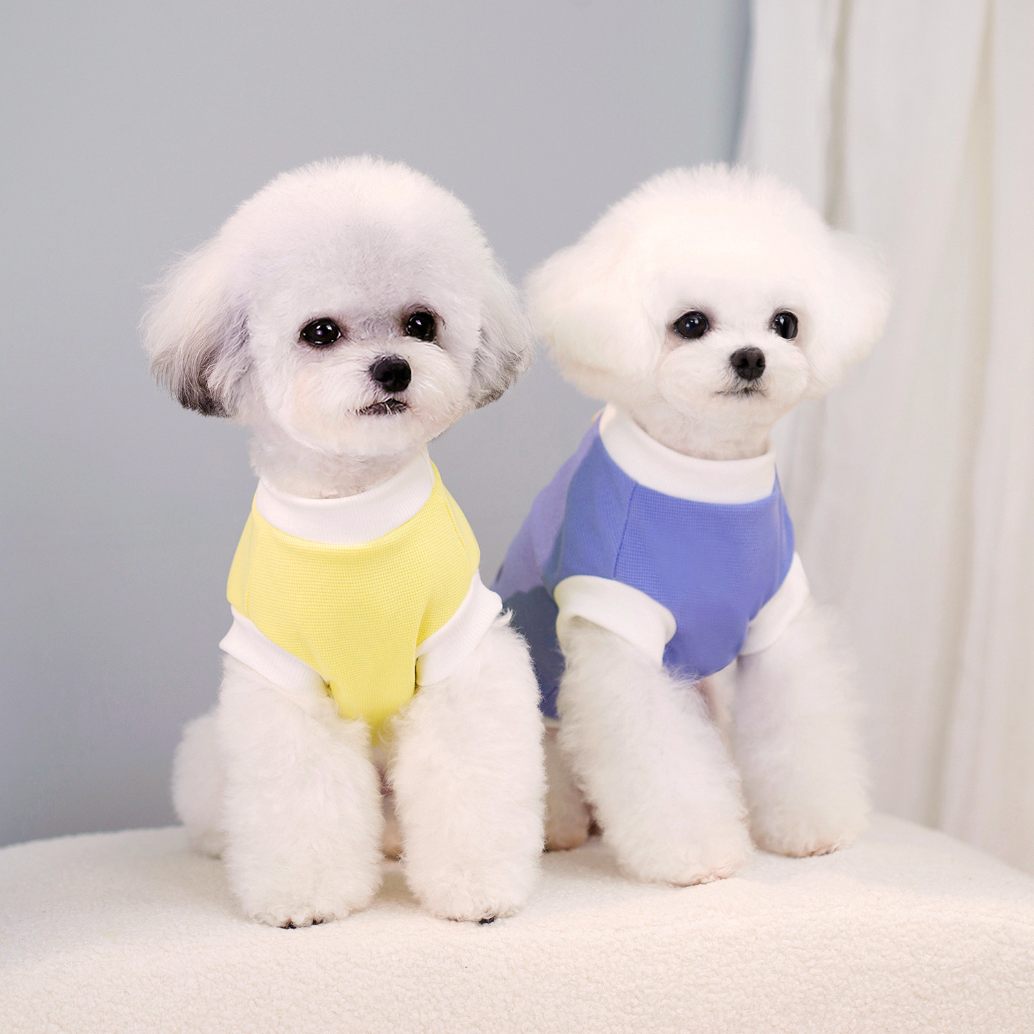 Autumn Custom Label Pet Cute Pattern Hot Stamping Dog Vest Teddy Breathable Clothes