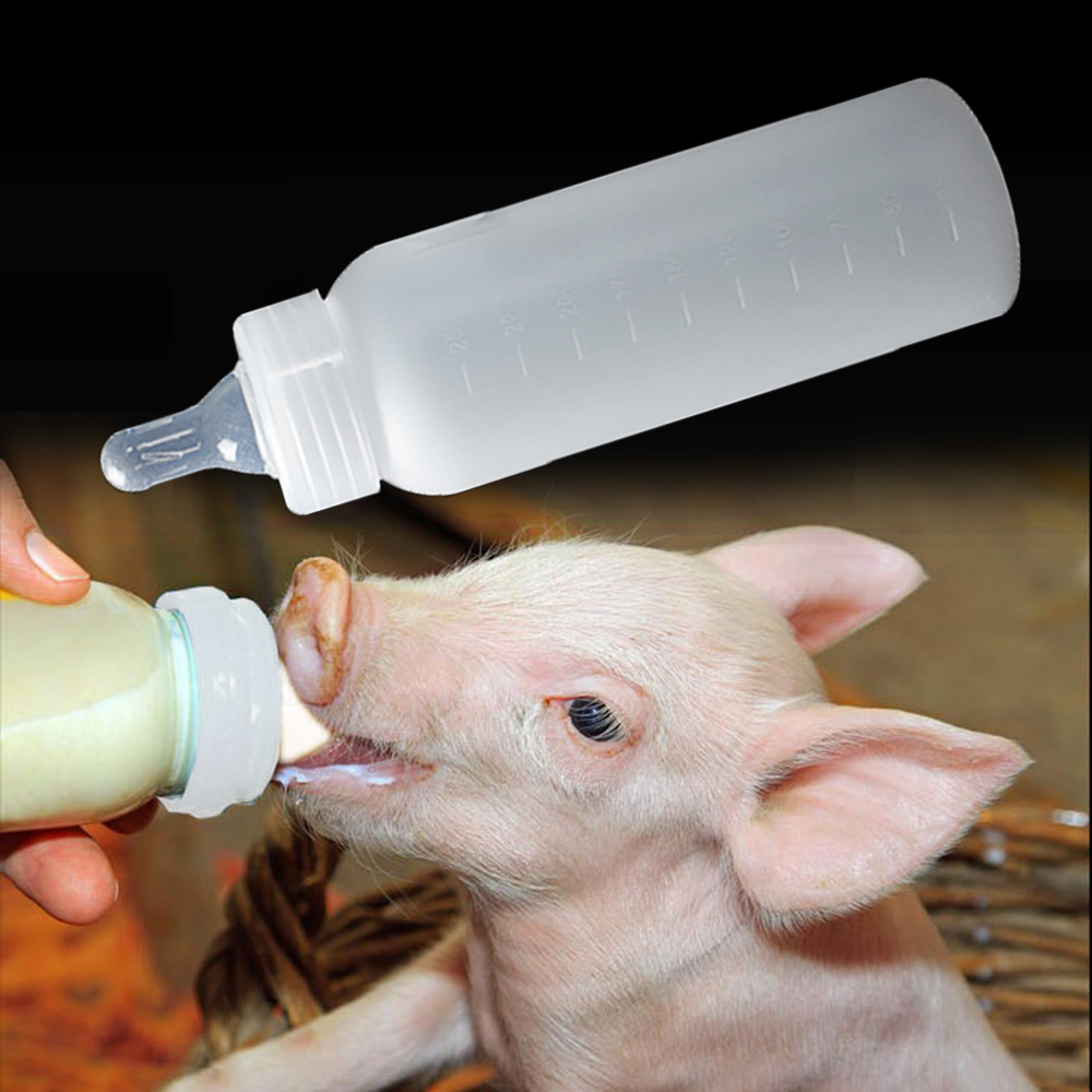 250ml Pig Goat Lamb Puppy Milking Bottle Nipple Drinker Plastic With Teat Graduation Snap-On For Weaning Small Animals 1PCS