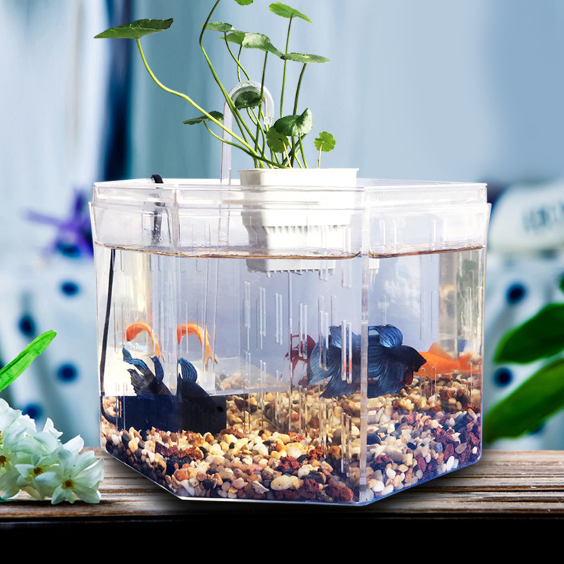 Transparent Home Desktop Mini Aquarium Betta & Gold fish Detachable Acrylic tank