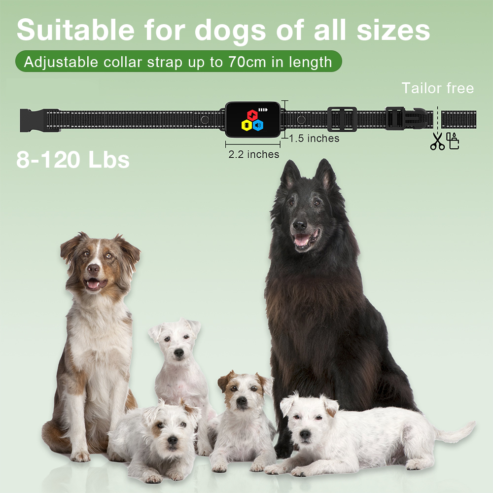 800M Dog Training Collar Color Screen Remote Control Dog Trainer Electric Shock Vibration Buzzer Type-C Anti Bark Dog Collar