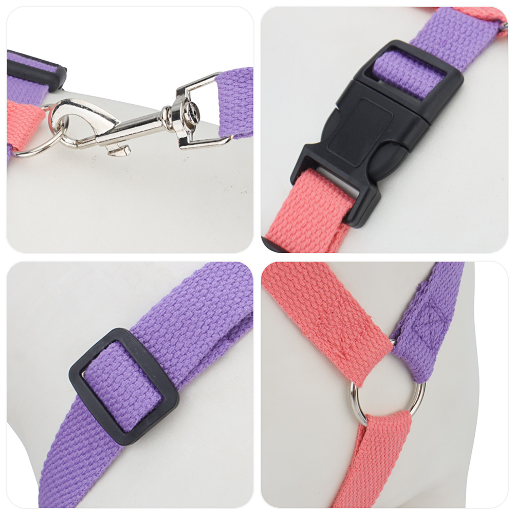 Step-in Dog Harness and Leash Set-No Pull Pet Adjustable Halter Harness with Leash Easy Walk Running Training for Small Dogs&cat