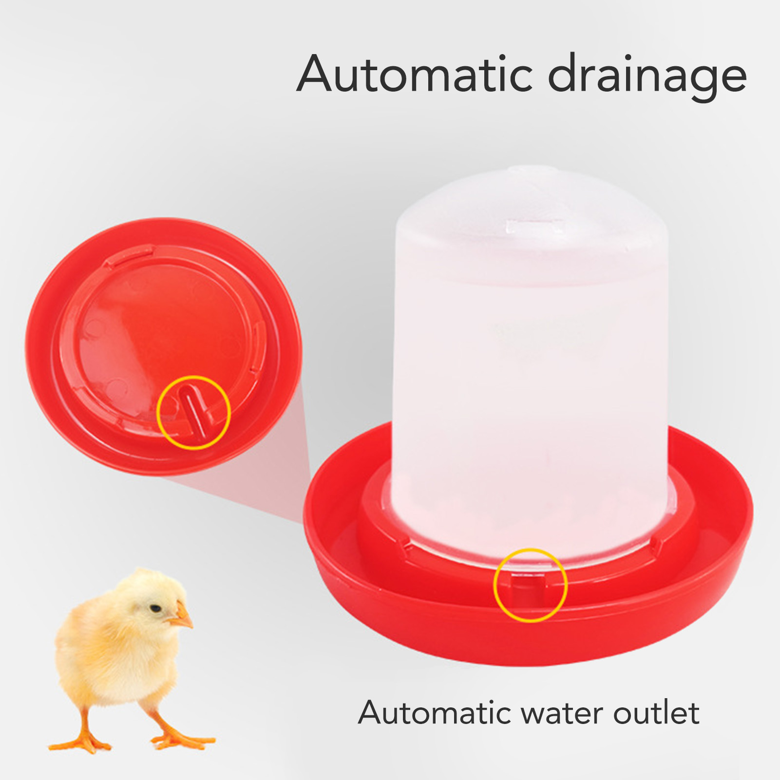 Chick Feeder And Waterer Kit Rotary Sleeve Design Automatic Feeding And Watering Poultry Feeder And Waterer Combo