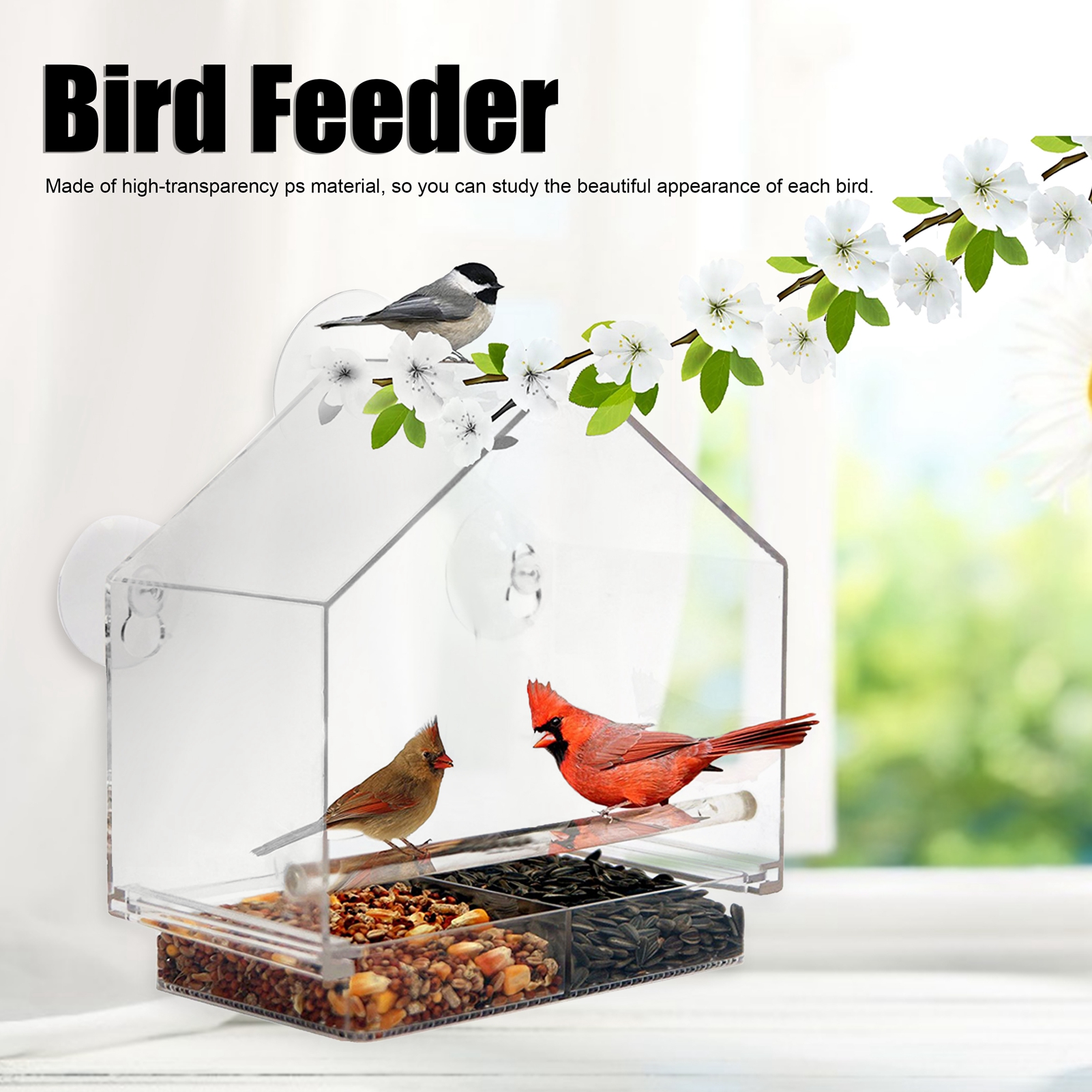 Indoor and Outdoor Hanging Bird Feeder, PS Transparent, Feeding Tool for Small Birds
